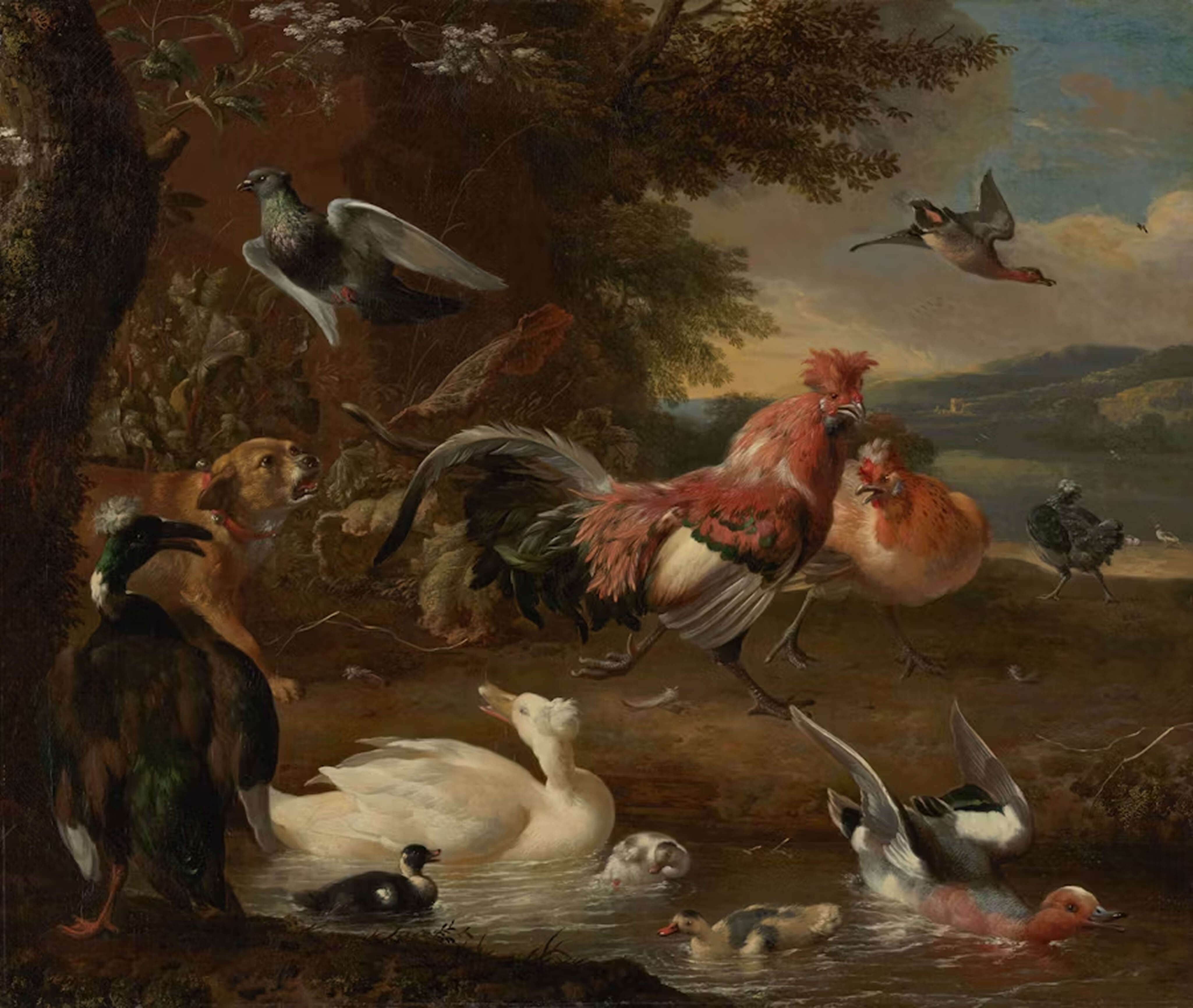 A 17th century painting of Chickens and Ducks by Melchior d' Hondecoeter